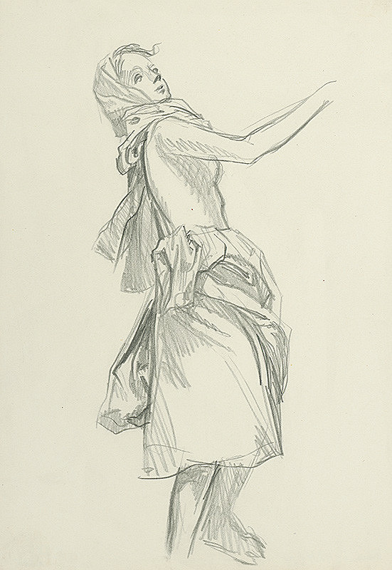 Jaroslav Vodrážka – Žena v slabom záklone 