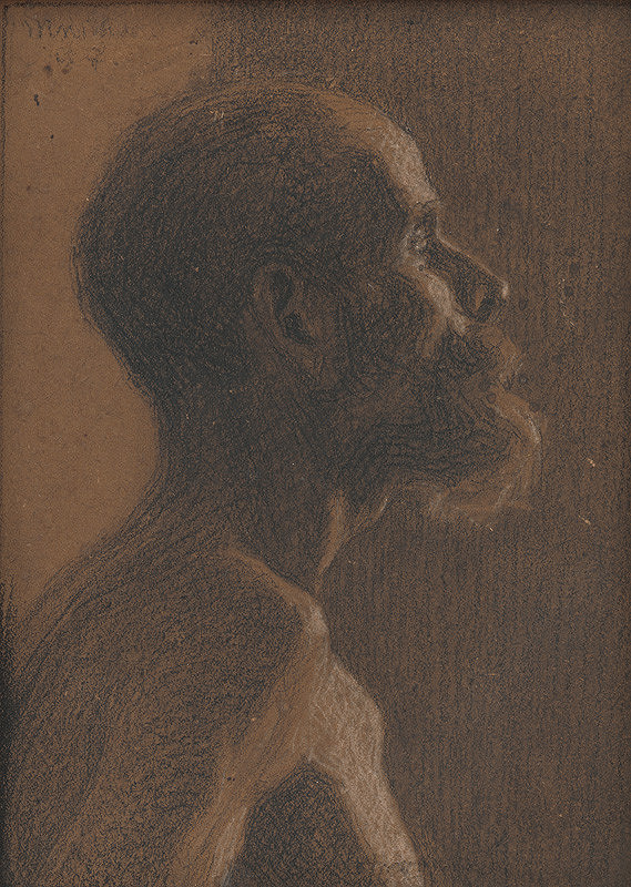 Milan Thomka Mitrovský – Poprsie bradatého muža 