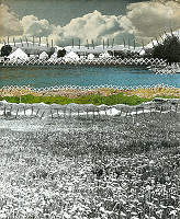 Viktor Hulík – Transplantácia č. 13 