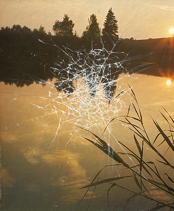 Viktor Hulík – Transplantácia č. 51 