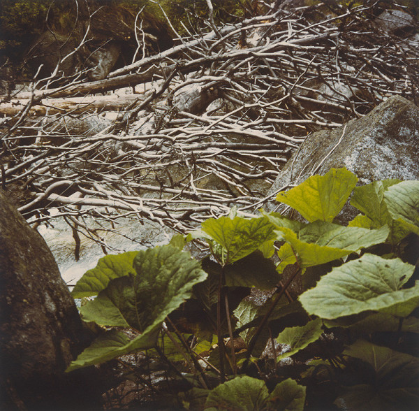 Pavol Repka – Tatranská bystrina III. 