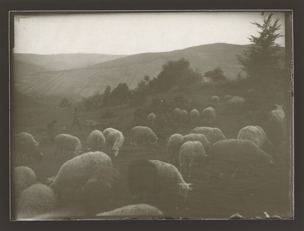 Marie Zavadilová – Kopanice 