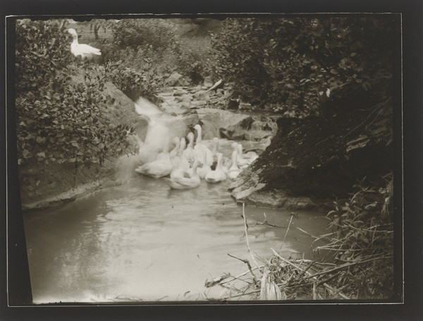 Marie Zavadilová – Kopanice 