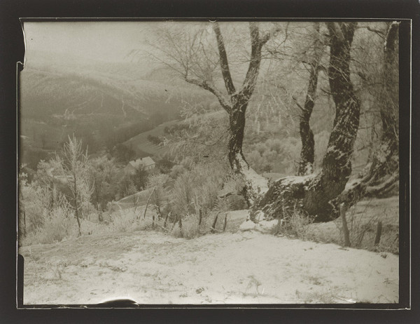 Marie Zavadilová – Kopanice 