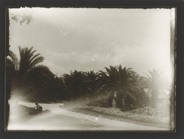 Marie Zavadilová – Cesty 