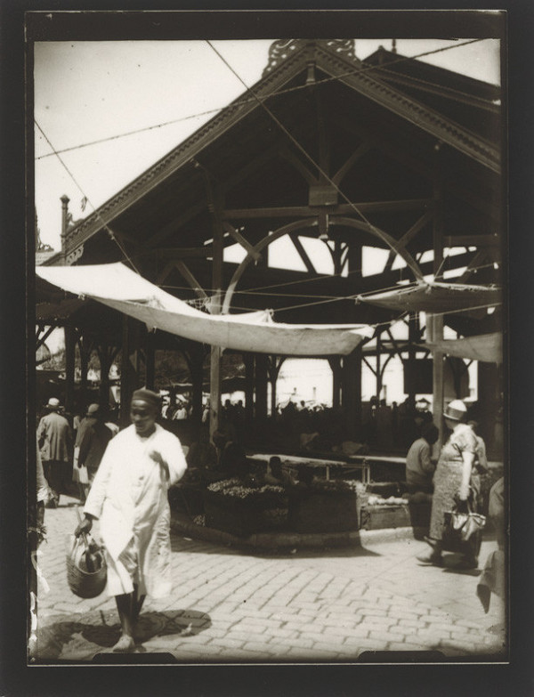 Marie Zavadilová – Cesty 