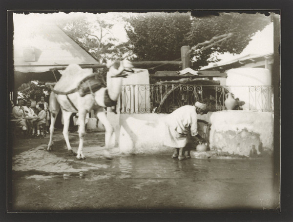 Marie Zavadilová – Cesty 