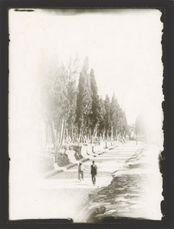 Marie Zavadilová – Cesty 