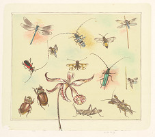 Anton Hollý – Zátišie zberateľa I. 