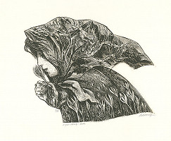 Jaroslav Lukavský – Mara 