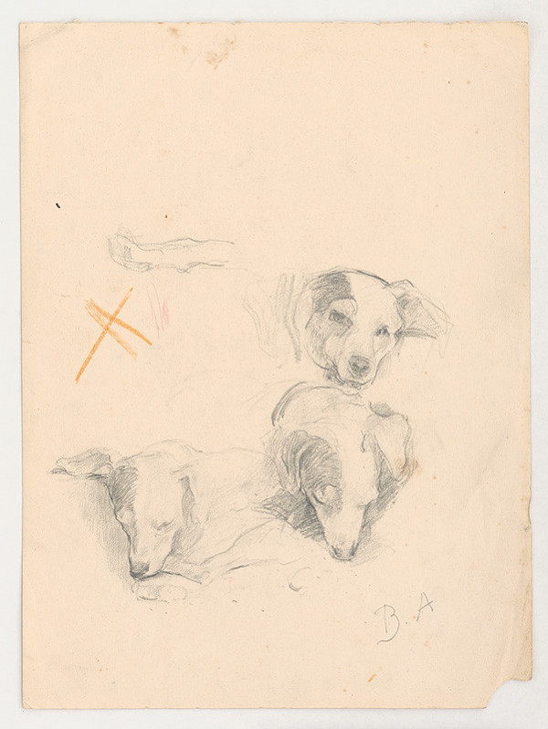 Andor Borúth – Hlava psa 