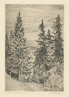 Viktor Hermély – Motív pri Štrbskom plese I. 