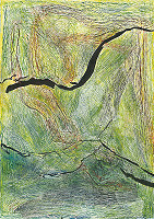 Anna Horváthová – Tiene na zelenej 