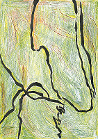 Anna Horváthová – Tiene na zelenej 