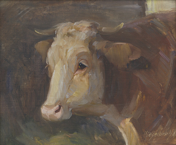 Gejza Kieselbach – Hlava kravy