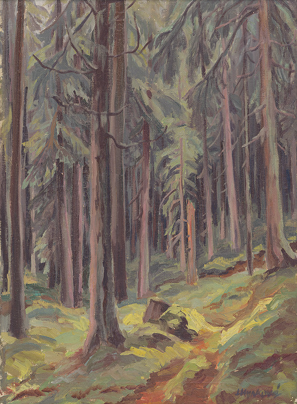 Ludmila Hynková – Les v Bielovodskej doline 