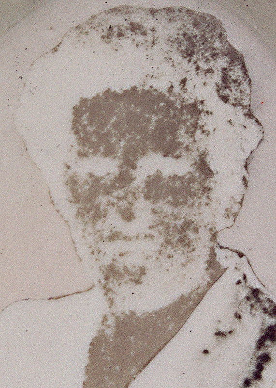 Pavel Maria Smejkal – Fade out 