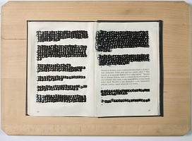 Peter Kalmus – Franz Kafka: Kalmus 