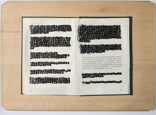 Peter Kalmus – Franz Kafka: Kalmus 