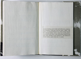 Peter Kalmus – Franz Kafka: Kalmus 