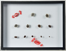 Pavlína Fichta Čierna – Zbierka III. (Slavia Sfinx) 