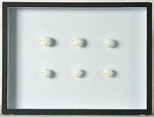 Pavlína Fichta Čierna – Zbierka IV. (Ruže Oriflame) 