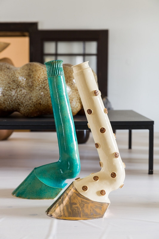 Edita Balážová – Kopýtkový servis 