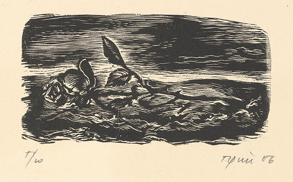 Tibor Gáll – Špička k listu "Karbunkul 