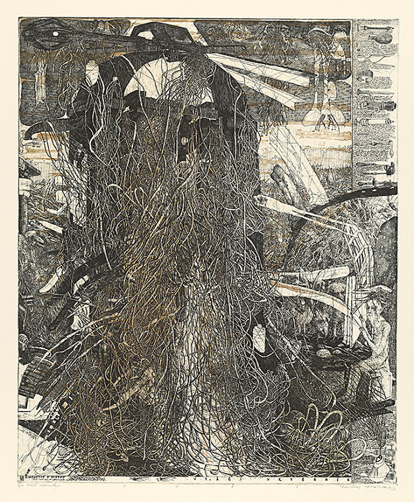 Dušan Kállay – Vtáčí veterník 