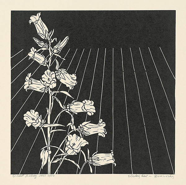 Orest Dubay – Zvončeky 