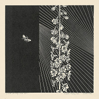 Orest Dubay – Ostrôžka 