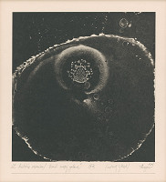 Alexander Bugan – Vznik našej galaxie 