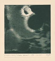 Alexander Bugan – Zrodenie mesiaca 