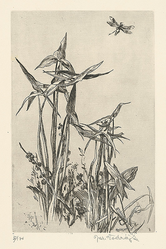 Jaroslav Vodrážka – Šípatka