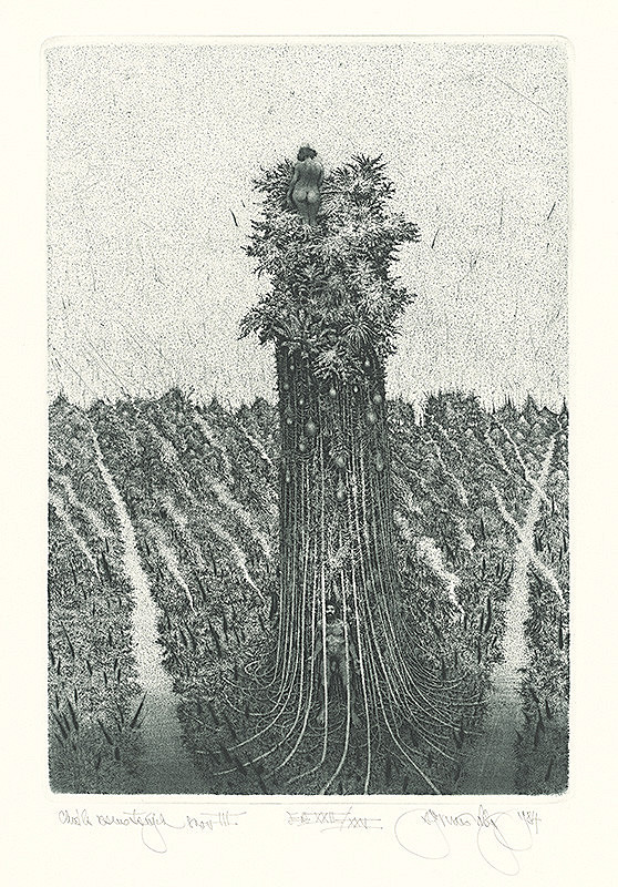 Albín Brunovský – Chvála zamotaných snov III. 