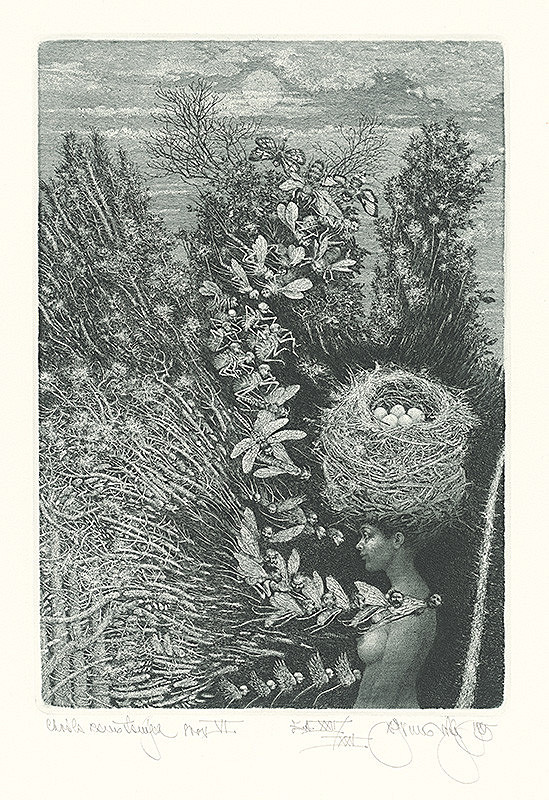 Albín Brunovský – Chvála zamotaných snov VI. 