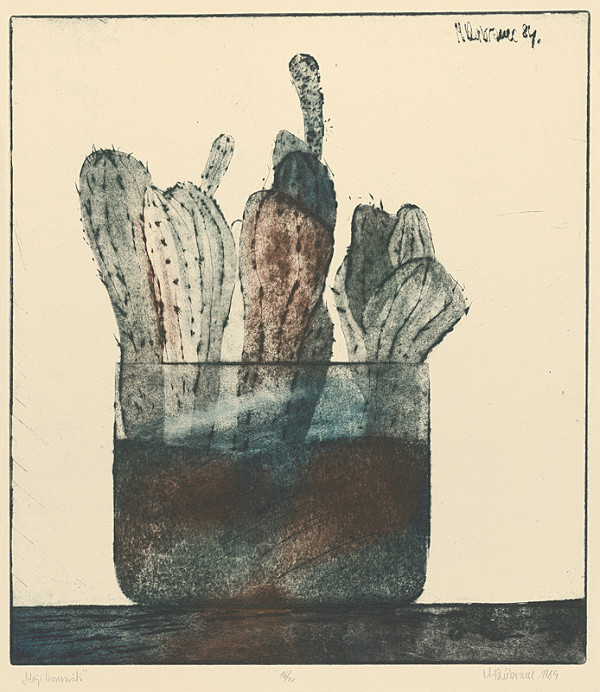 Marcel Dúbravec – Moji kamaráti 