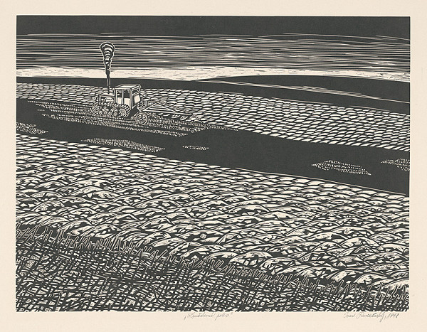 Ivan Rumanský – Družstevné polia 