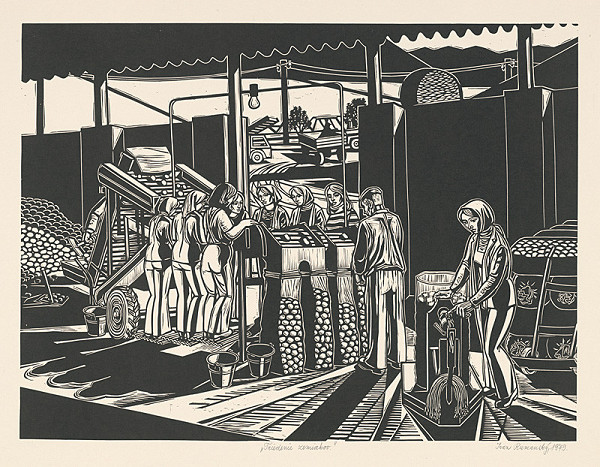 Ivan Rumanský – Triedenie zemiakov 