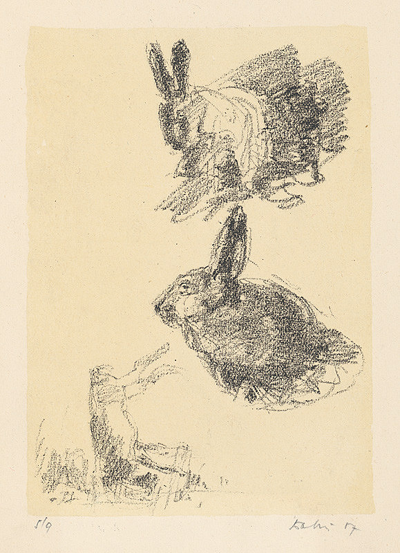 Andrej Doboš – Štúdia zajacov