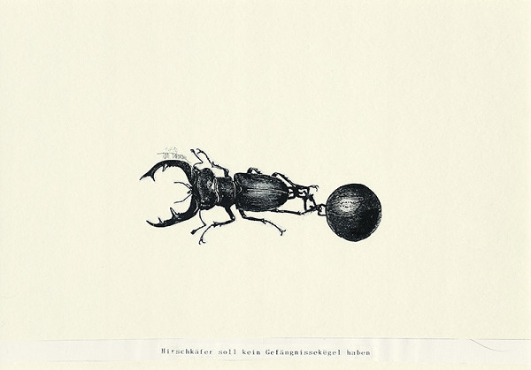 Igor Ďurišin – Hirschkäfer soll kein Gefängnissekügel haben 