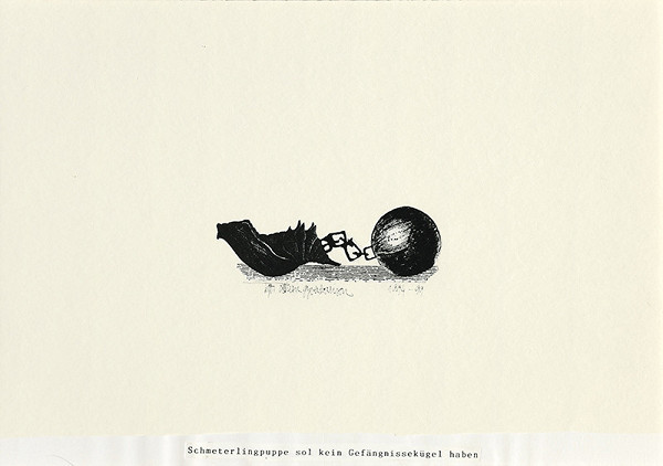 Igor Ďurišin – Schmeterlingpuppe soll kein Gefängnissekügel haben 