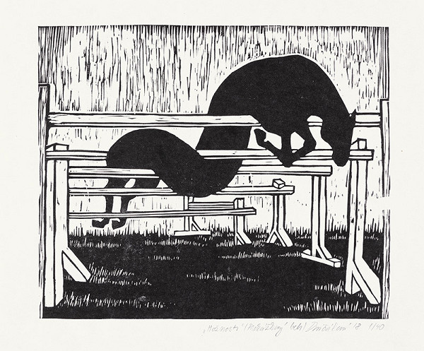 Lucia Dovičáková – Možnosti (Prekážkový beh) 