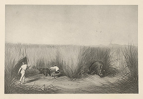 Emanuel Andrássy – Zastrelený nosorožec a jeho o útek sa pokúšajúce mláďa. Thysitu (Motív z cesty po východnej Indii IX.) 