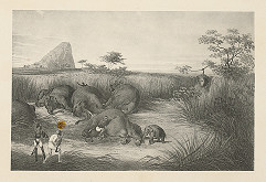 Emanuel Andrássy – Osem slonov nahromadených na kope a chytené sloníča. Logalla (Motív z cesty po východnej Indii X.) 