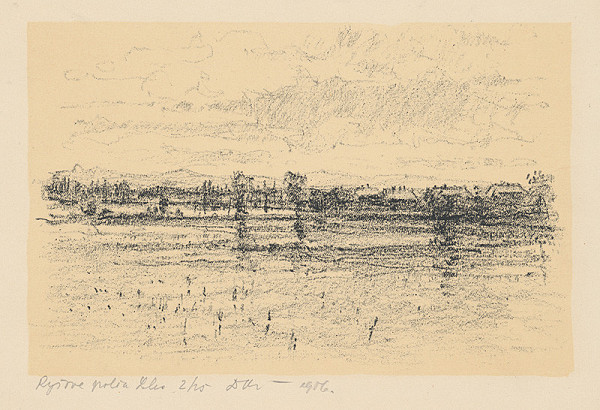 Andrej Doboš – Ryžové polia Leles 