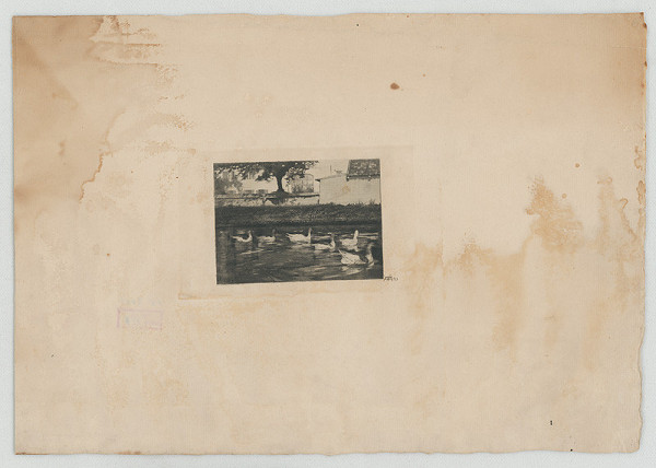 Ákos Aranyossy – Husi vo vode 