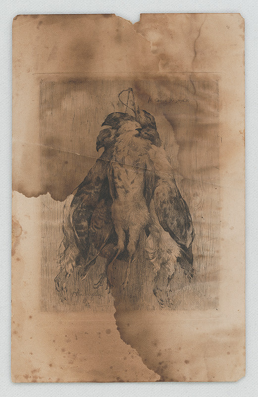 Ákos Aranyossy – Lovecké zátišie s jarabicami 