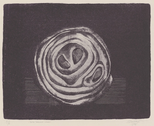 Alexander Eckerdt – Plátok červenej cibule 