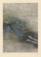 Viera Gergeľová – Unikanie 